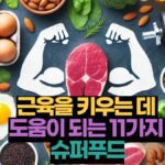 근육을 키우는 데  도움이 되는 11가지  슈퍼푸드