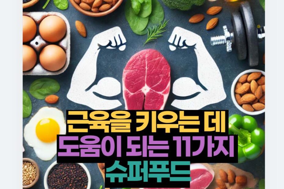 근육을 키우는 데  도움이 되는 11가지  슈퍼푸드