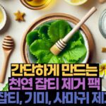 간단하게 만드는  천연 잡티 제거 팩  잡티, 기미, 사마귀 제거