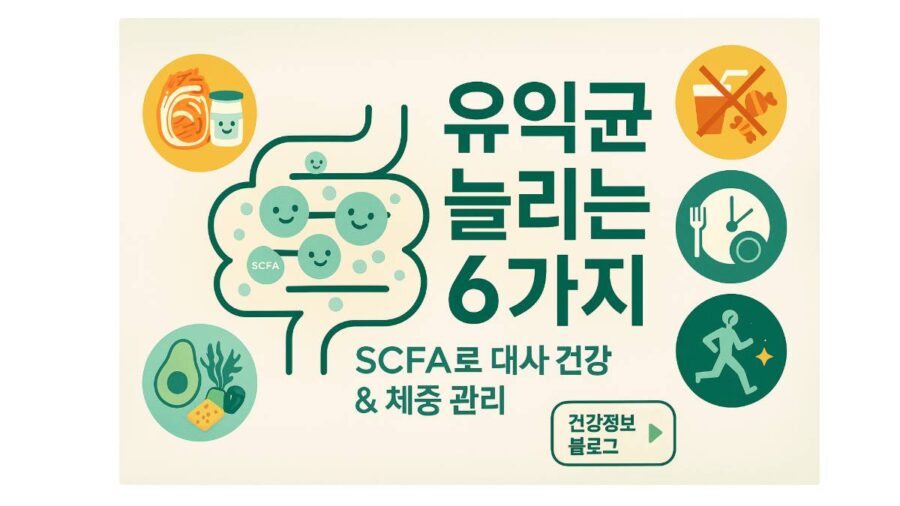 장내 유익균 늘리는 6가지 습관｜SCFA로 대사 건강&체중 관리